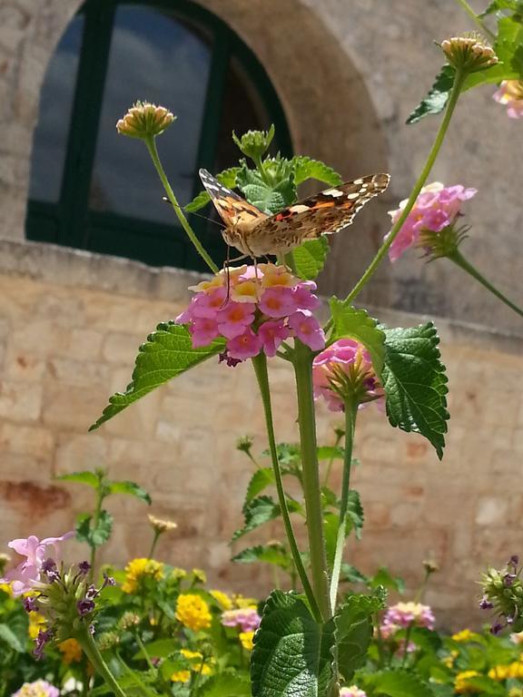 Masseria Sant'Elia Martina Franca Zewnętrze zdjęcie